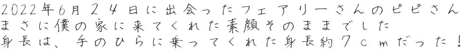 2022年6月２４日に出会ったフェアリーさんのピピさん まさに僕の家に来てくれた素顔そのままでした 身長は、手のひらに乗ってくれた身長約７ｃｍだった！ 